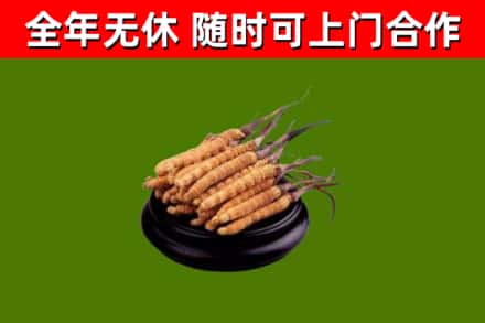 黔西县烟酒回收冬虫夏草.jpg