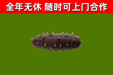 黔西县烟酒回收干海参.jpg